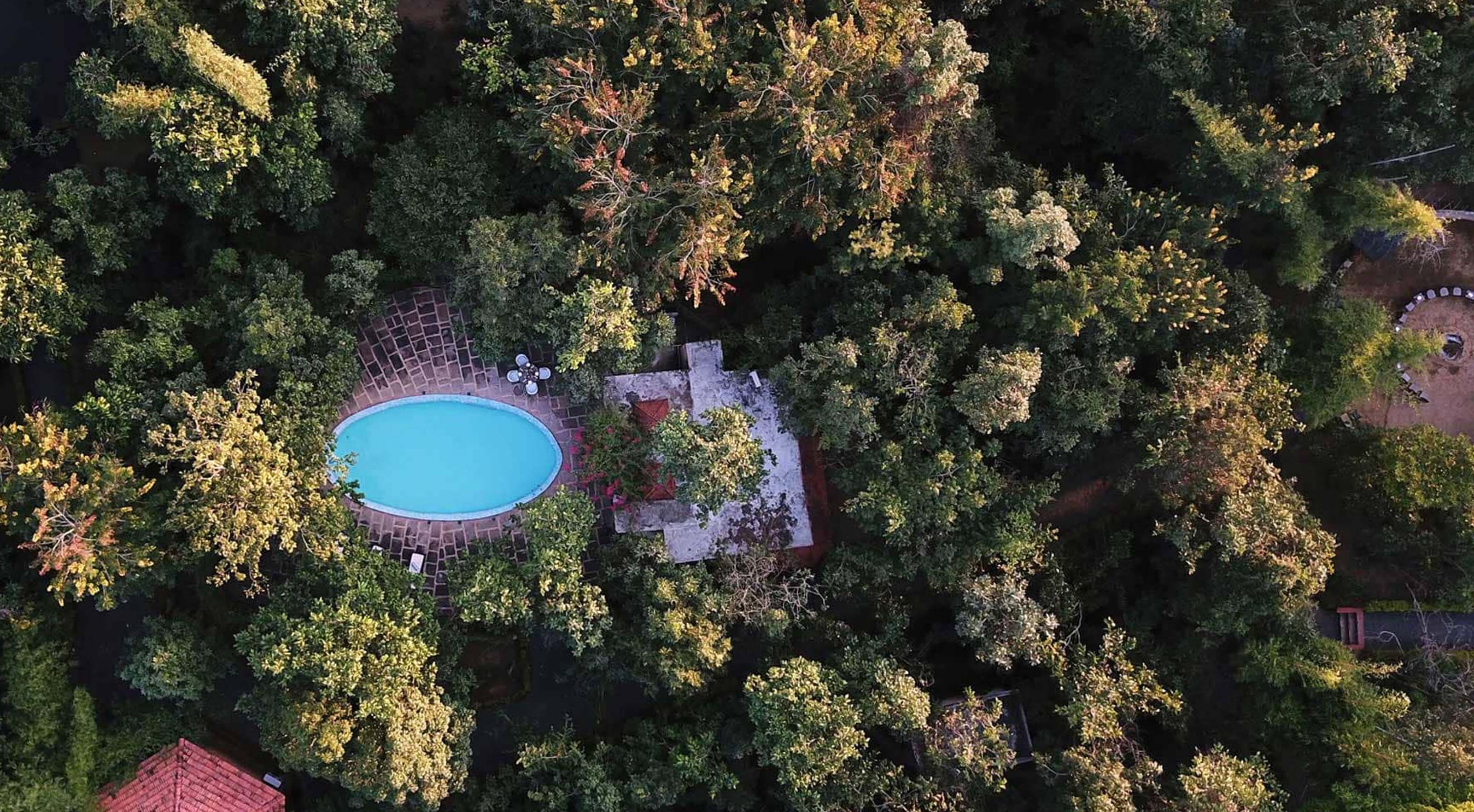 jungle resorts